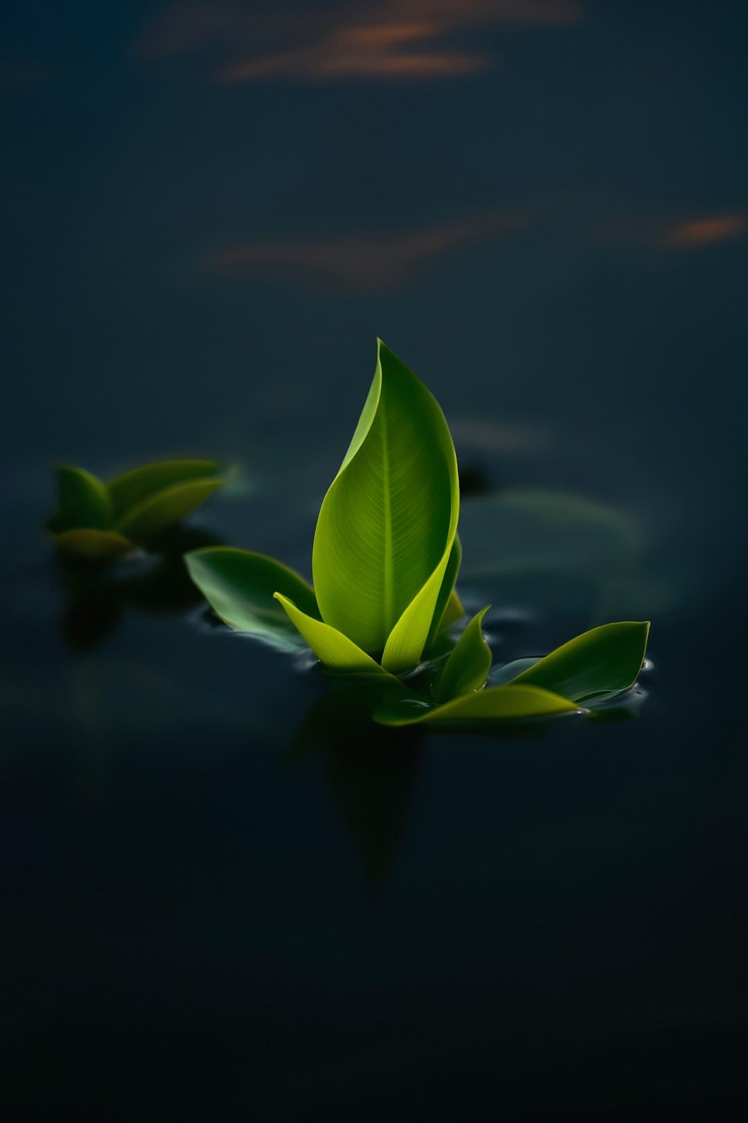 新同学,与“智能原生”同行